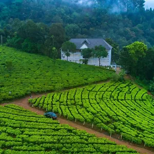 3* Курортный комплекс Tea Harvester