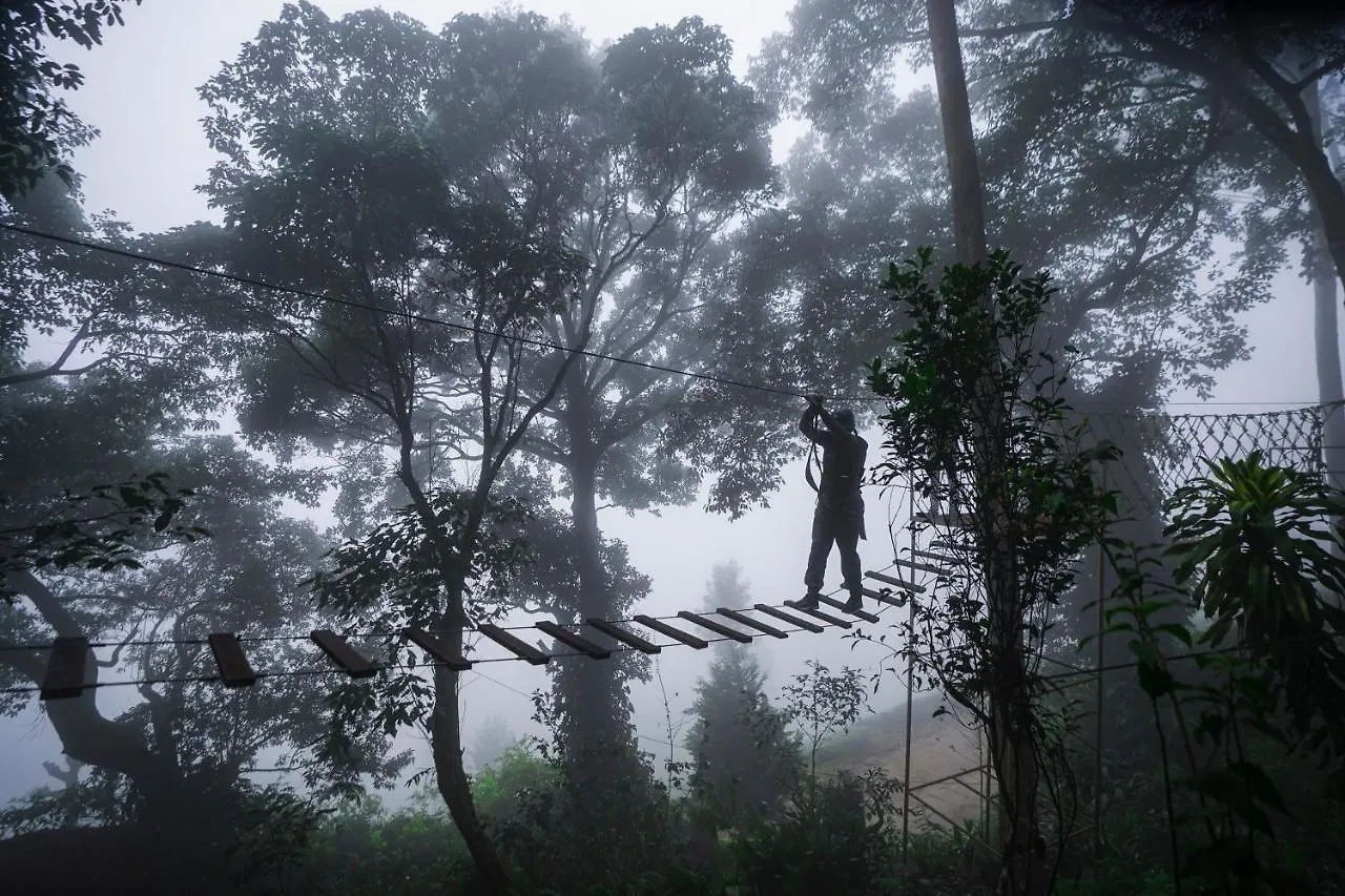 **** Resort Tea Valley Resort, Munnar India