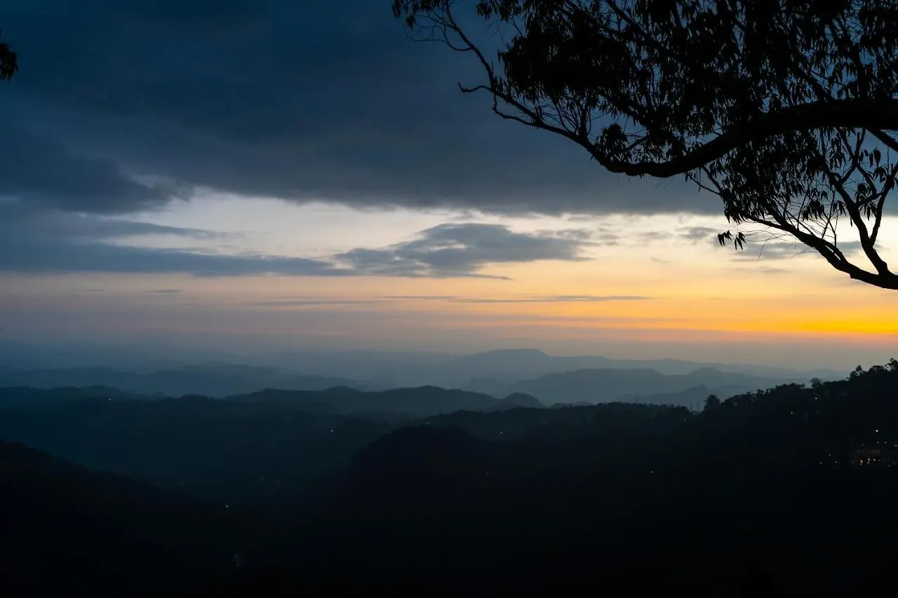 **** Resort Tea Valley Resort, Munnar India